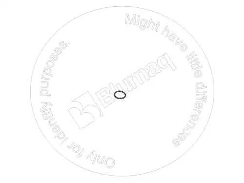 УПЛОТНИТЕЛЬНОЕ КОЛЬЦО 07000-B3025 ST BLUMAQ