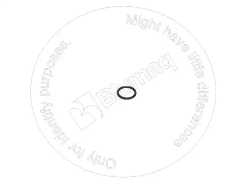 УПЛОТНИТЕЛЬНОЕ КОЛЬЦО 1240394H1 ST BLUMAQ