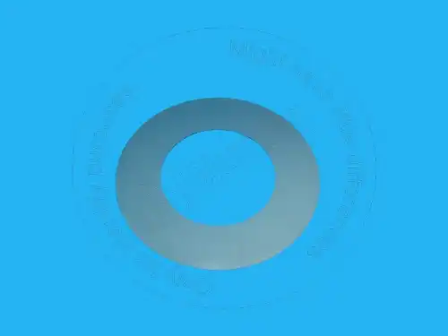 207-70-24190 BQ ШАЙБА BLUMAQ