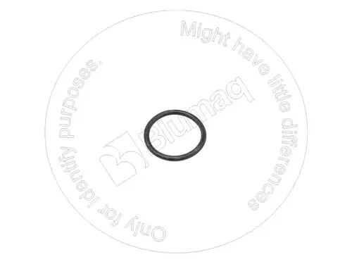 УПЛОТНИТЕЛЬНОЕ КОЛЬЦО 2415B402 ST BLUMAQ