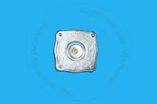 42N-03-11970 ST ЗАГЛУШКА BLUMAQ