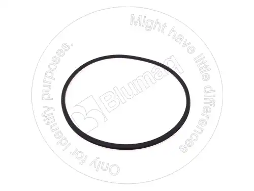 КОЛЬЦО 0734317169 ST BLUMAQ