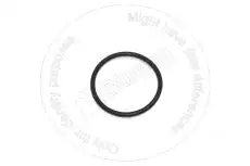 УПЛОТНИТЕЛЬНОЕ КОЛЬЦО BC75803-7 ST BLUMAQ