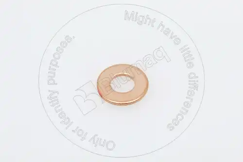 УПЛОТНЕНИЕ F00RJ01453 ST BLUMAQ
