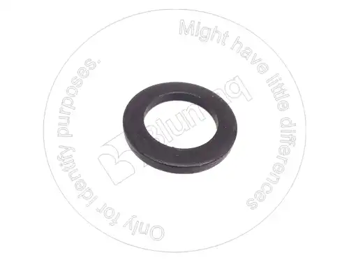 ШАЙБА CR3877 ST BLUMAQ