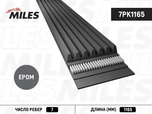 MILES 7PK1165