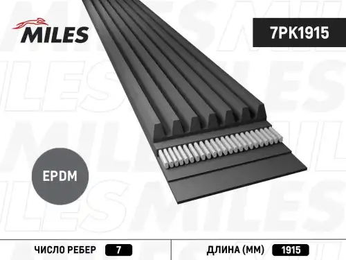 MILES 7PK1915
