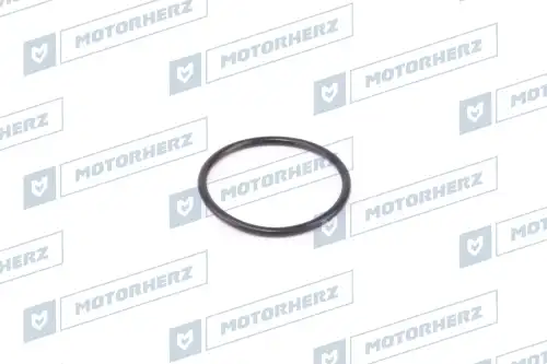 Кольцо рулевой рейки HR0666 MOTORHERZ