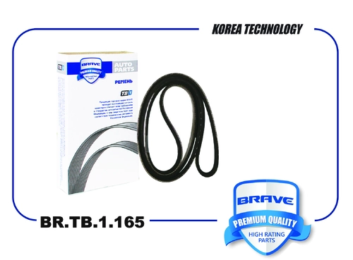 BRAVE BR.TB.1.165