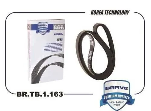 BRAVE BR.TB.1.163