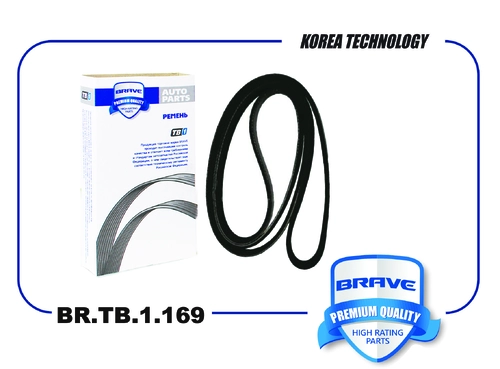 BRAVE BR.TB.1.169