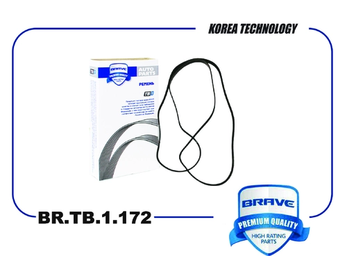BRAVE BR.TB.1.172
