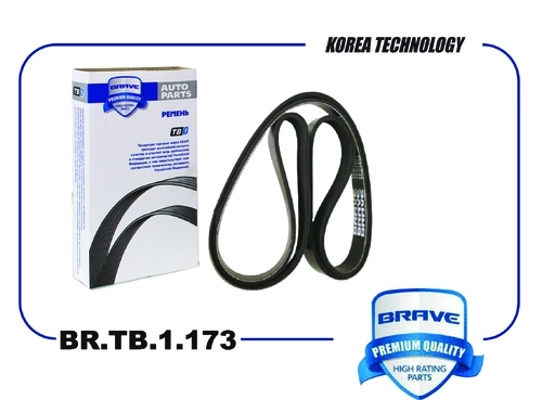 BRAVE BR.TB.1.173