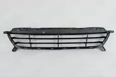 Решетка бампера OEM OEM3602