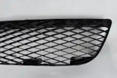 Решетка бампера OEM OEM3789