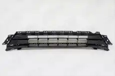 Решетка бампера OEM OEM3674
