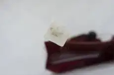 Фонарь задний OEM OEM0065FONR
