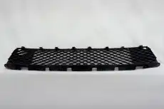 Решетка бампера OEM OEM3670