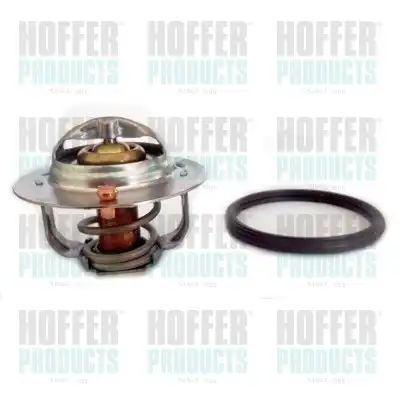 Термостат системы охлаждения HOFFER 8192832