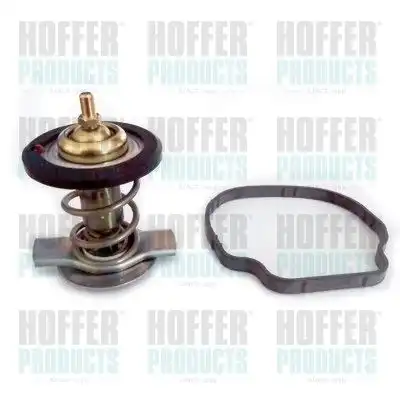 Термостат системы охлаждения HOFFER 8192837