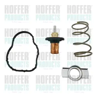 Термостат системы охлаждения HOFFER 8192842K