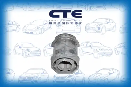 Рычаг подвески CTE CBH06026
