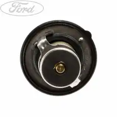 Термостат системы охлаждения FORD 4188498