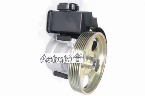 Насос гидроусилителя руля ASHUKI 9106-05233