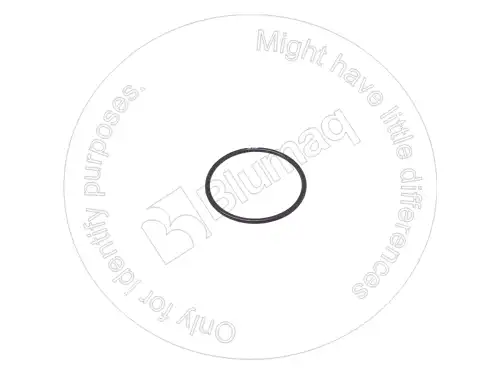 УПЛОТНИТЕЛЬНОЕ КОЛЬЦО CPP083094 BLUMAQ