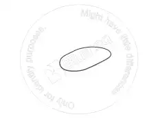 УПЛОТНИТЕЛЬНОЕ КОЛЬЦО TX6193402M1 BLUMAQ