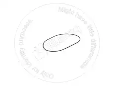 УПЛОТНИТЕЛЬНОЕ КОЛЬЦО TXPP9161078 BLUMAQ