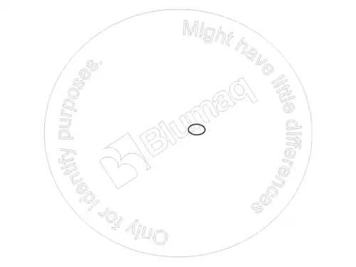 УПЛОТНИТЕЛЬНОЕ КОЛЬЦО TX15272596 BLUMAQ