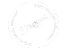 ШАЙБА VO11998966 BLUMAQ