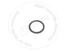 ШАЙБА TX056418Z926 BLUMAQ