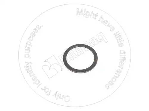 ШАЙБА TX501577 BLUMAQ