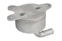 Масляный радиатор THERMOTEC D43001TT