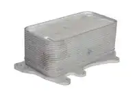Масляный радиатор THERMOTEC D4B025TT