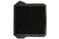 Радиатор системы охлаждения двигателя THERMOTEC D7AG190TT