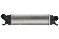 Интеркулер THERMOTEC DA05013TT