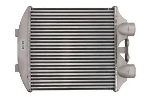 Интеркулер THERMOTEC DAT003TT