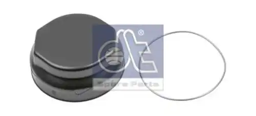 Крышка ступицы DT 10.10604