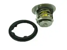 Термостат системы охлаждения HONDA 19301PLC315