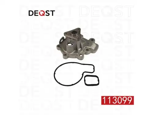 DEQST 113099