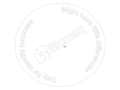 RING EA1118641 ST BLUMAQ