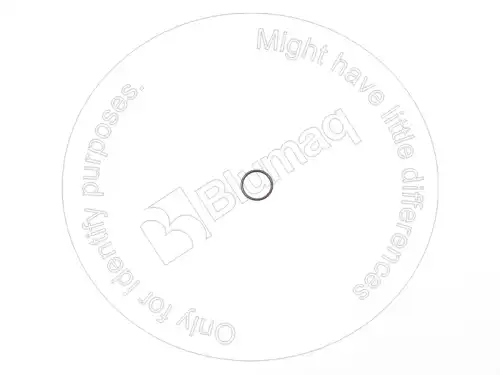 КОЛЬЦО 2Y5821 ST BLUMAQ