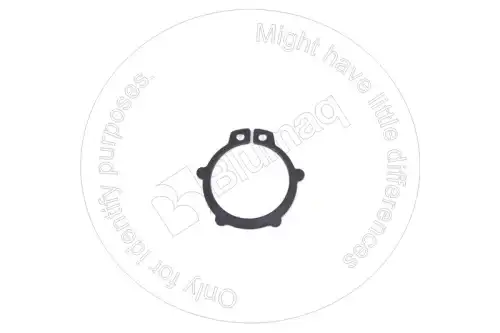 КОЛЬЦО 676928 ST BLUMAQ