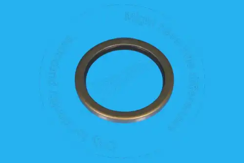 ПРОТИВОПЫЛЕВОЕ УПЛОТНЕНИЕ 931429 ST BLUMAQ