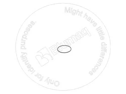 УПЛОТНИТЕЛЬНОЕ КОЛЬЦО 0092062 ST BLUMAQ