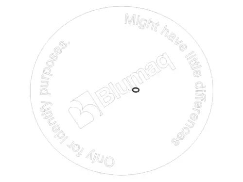 УПЛОТНИТЕЛЬНОЕ КОЛЬЦО 2D6392 ST BLUMAQ