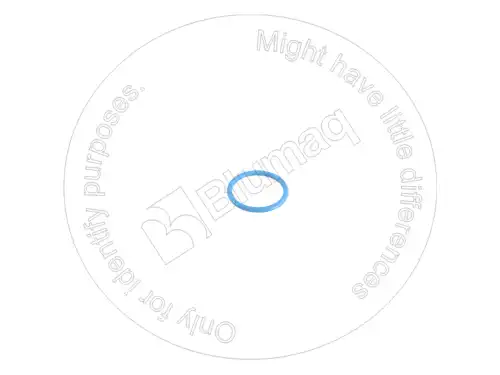 УПЛОТНИТЕЛЬНОЕ КОЛЬЦО 336038 ST BLUMAQ
